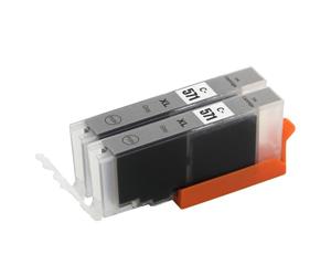 Go Inks® 2 cartucce d'inchiostro grigio per sostituire CLI-571GY compatibili/non OEM per stampanti Pixma