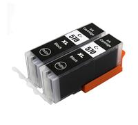 Go Inks 2 cartucce d'inchiostro nero per sostituire Canon PGI-570Bk compatibili/non-OEM per stampanti Pixma