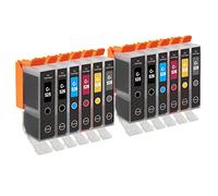 12 Cartucce d'inchiostro per Canon PIXMA MG6150, MG6250, MG8150