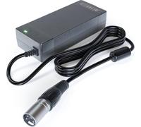 GO SOLID! Caricabatterie compatibile con Aldi E Cult E-Bike 36V XRL4 Spina