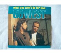 Go West - What You Won't Do For Love 7"