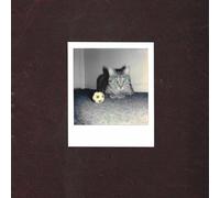 Goalie's Anxiety At The Penalty Kick - Ways Of Hearing