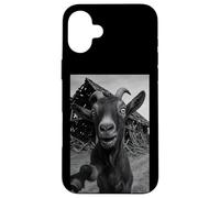 Goat Meme Country Humor Farm Chaos Scene Broken Barnyard Custodia per iPhone 16 Plus