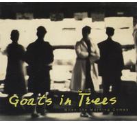 Goats In Trees - When the Morning Comes