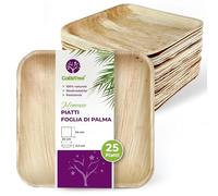 GoBeTree Piatti Foglia di Palma 25 Piatti Monouso Quadrati da 24 cm. Stoviglie in legno rustico per barbecue e feste di compleanno.