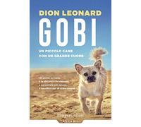 Gobi. Un piccolo cane con un grande cuore