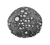 Gocce d'acqua sul tessuto Riutilizzabile Impermeabile Lavabile Regolabile Adatto a donne Tutte le lunghezze di capelli Cuffia da a