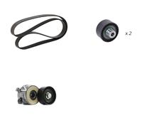goCORE GCE420034 Kit Cinghie Poly-V
