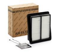 goCORE GCH0110 Filtro aria