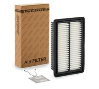 goCORE GCH0256 Filtro aria