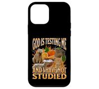 God Is Testing Me Divertente Capybara Meme Bootleg Y2K Graphic Custodia per iPhone 12 mini