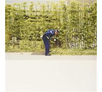 God Luck And Do Your Best - Gold Panda (Vinile)