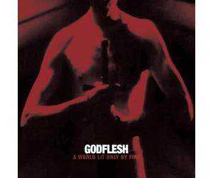 Godflesh A World Only Lit by Fire (Vinyl LP)