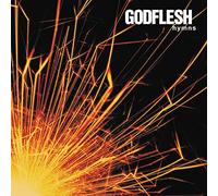 Godflesh - Hymns (180 Gr. Vinyl Silver & Black Marbled Gatefold Sleeve Limited Edt.)