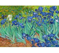 Goditi il Puzzle Vincent Van Gogh: Iris 1000 pezzi