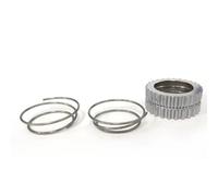 GodLOL Kit di manutenzione per mozzo per bicicletta 54T Star Ratchet SL Service Kit cricchetto 54 denti per DT 18T sostituzione 36T 60T MTB Road Bike Gear 350 240 parti (54T)