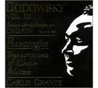 Godowsky, Leopold - Studies After The Etudes Of Chopin Nos. 22-48 Pass