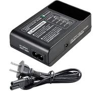 Godox Caricatore per batteria serie V