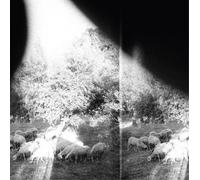 Godspeed You! Black Emperor – Asunder Sweet And Other Distress – CD