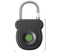 GOEDCH Pad con impronte digitali: resistente Smart Padlock Biometric Pad Lock Keyless Padl ock, High Security Fingerprint Pad lock for Backpack Storage Box and Luggage Black (40 mm × 16,2 mm × 43,5 mm