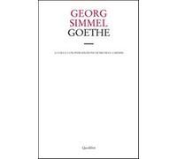 Goethe - Simmel Georg