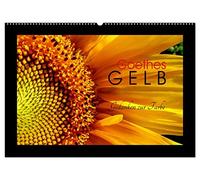 Goethes Gelb Gedanken zur Farbe (Wandkalender 2026 DIN A2 quer), CALVENDO Monatskalender: Die schönsten Gelbtöne aus der Natur, charakterisiert von Goethe.
