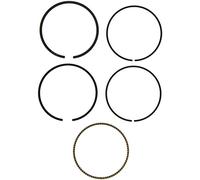 GOETZE ENGINE 08-521600-00 Kit fasce elastiche