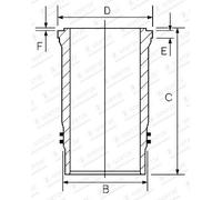 GOETZE ENGINE 14-450710-00 Canna cilindro