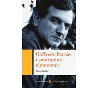 Goffredo Parise, i sentimenti elementari