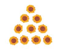Gogogmee 10 Pezzi Toppe Ricamate da Patch Resistenti e Pratiche per Fai da Te Decorazioni per Vestiti e Accessori