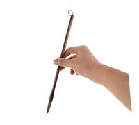 Gogogmee 12 pezzi Pennelli Calligrafia per Pittura e Scrittura Kit Completo per Principianti con Piume Rinforzate Pennelli Essenziali per e Arte
