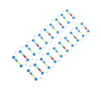 Gogogmee 2 pezzi Kit Doppia Spirale del DNA Componenti Didattici Biologia Genetica Scienze Laboratorio Visualizzazione Istruttiva 2 Set