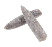Gogogmee 2 Pezzi Specimen Belemnite Naturali per Educazione Geologia e Paleontologia Modelli Fossili Decorativi per Studio e Collezione