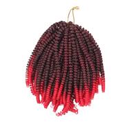 Gogogmee 2 Pz Piccoli Dreadlocks a Treccia Primaverile Colpi Di Scena Della Passione Pre-contorta Bohémien Treccia All'uncinetto Nere Filo Ignifugo a Bassa Temperatura