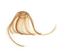 Gogogmee 2pezzi Frangia Finta Clip Su Parrucca Frangia Per Donna Accessorio Capelli Leggero in Termoresistente Per Stili Femminili Senza Danneggiare i Capelli Naturali