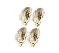 Gogogmee 4 Ostriche Artificiali Realistiche in Resistente per Decorazione Ristorante e Casa Simulazione Vivid Crostacei Giocattolo Cibo per Foto Prop