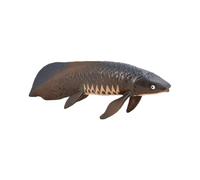 Gogogmee Animale Marino Imitazione in Plastica Solida per Giocattolo Educativo Realistico per Stimolare Creatività e Conoscenza Decorazione per Casa e Ufficio