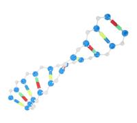 Gogogmee Dna Doppia Didattico Autocostruibile Aiuto Apprendimento Biologia Chimica per Studenti e Laboratori Componenti Scientifici per Esperimenti Educativi