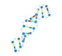 Gogogmee Dna Doppia per Istruzione in Biologia e Scienze Struttura Molecolare Accurata per Scuola e Laboratorio