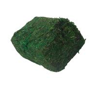 Gogogmee Muschio Artificiale Decorativo Verde Realistico, Pianta Finta per Composizioni Floreali e Vasi, Accessorio Durevole per Decorazione Giardino e Bonsai, Senza Odore, Facile da