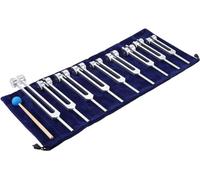 Gohantee - Set di 9 forcelle per accordatura e 1 martello sonoro (68,05 Hz, 126,22 Hz, 136,1 Hz, 141,27 Hz, 172,06 Hz, 194,18 Hz, 210,42 Hz, 221,23 Hz, 272,2 Hz)
