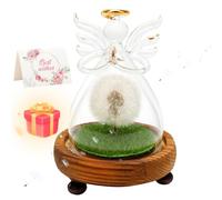 Gohytal Regali per Mamma, Fiori Veri Dente di Leone con Base Stabilizzata Angelo Regali Compleanno Donna idee Regalo Donna Regalo Cresima Ragazza per Mamma Regalo per la Regina Della Casa