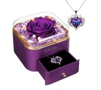 GOICC Rosa Eterna Stabilizzata con Collana Regali per Lei