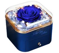GOICC Rosa Eterna Stabilizzata con Collana Regali per Lei | Idee Regalo Donna, Mamma, Moglie, Valentino Regalo, Festa della Mamma, Natale, Anniversario