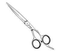 Jaguar Gold Line Forbici per capelli Heron 5,5"" argento