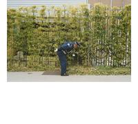 Gold Panda Good Luck and Do Your Best (Vinyl LP)