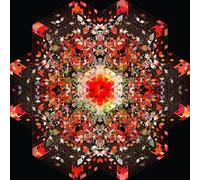 Gold Panda - Half Of Where You Live