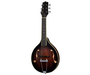 Gold Tone A-6 Mando Guitar TS