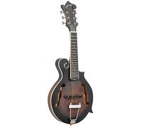 Gold Tone F-6: Chitarra Mando-Chitarra F-style con pickup e custodia rigida in schiuma | Manditar tuned EADGBE