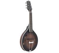 Gold Tone A-6 Mando Guitar TS